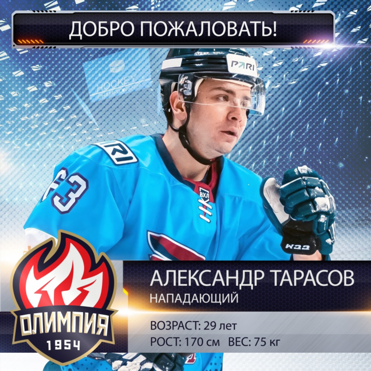Статистика хоккейных матчей
