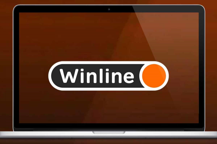 Winline скачать на android